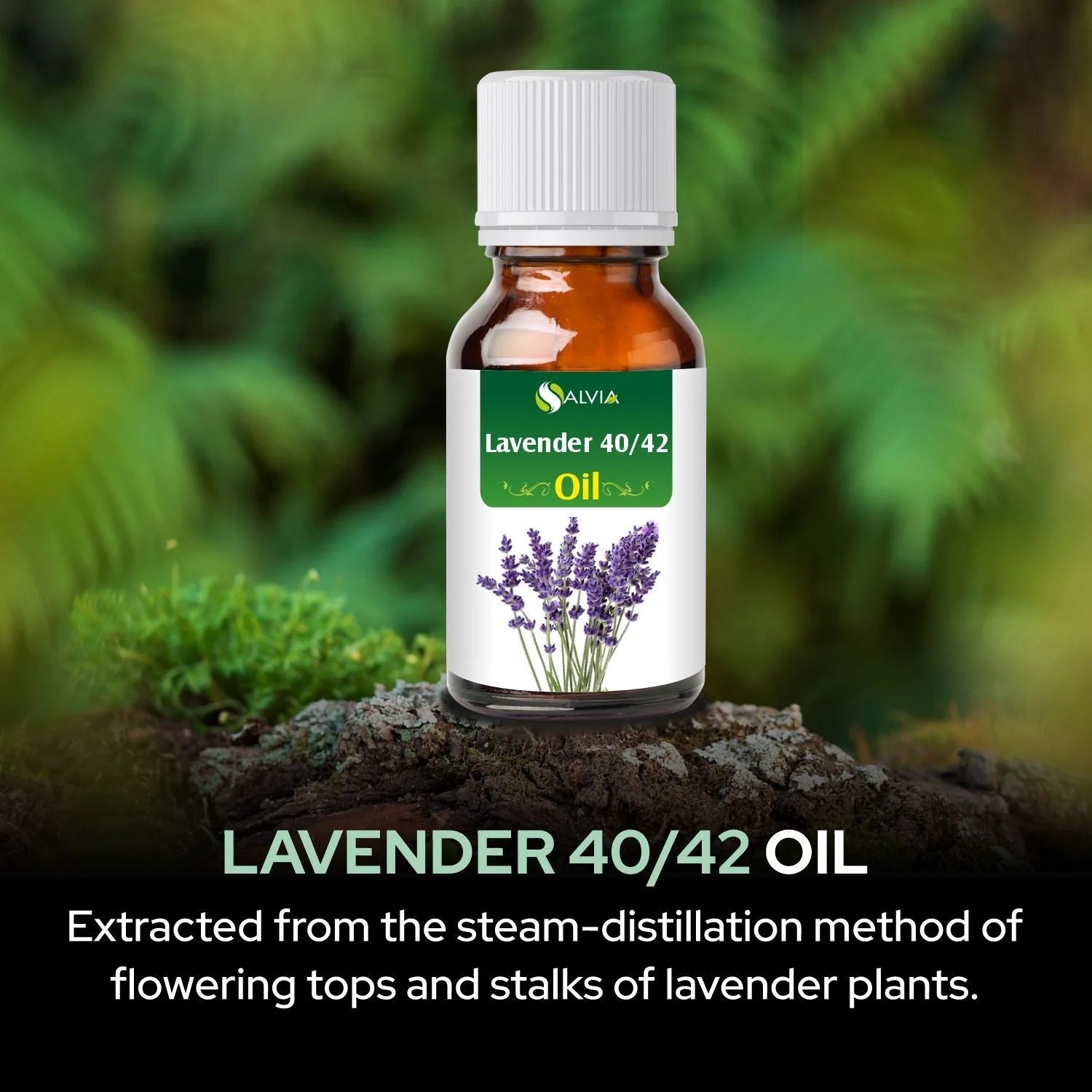 Lavender 40/42 Oil