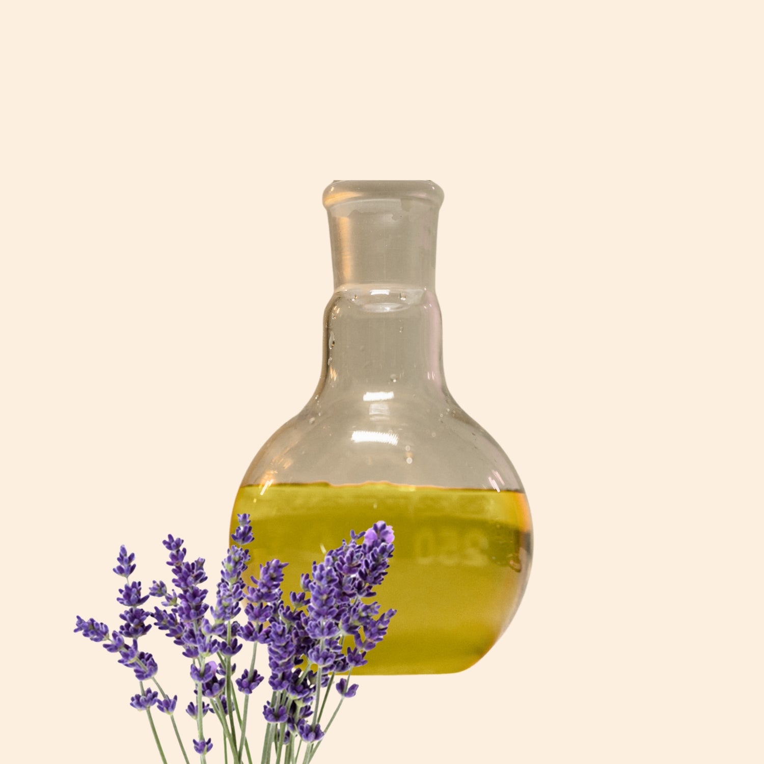 Lavender Herbal Liquid Extract