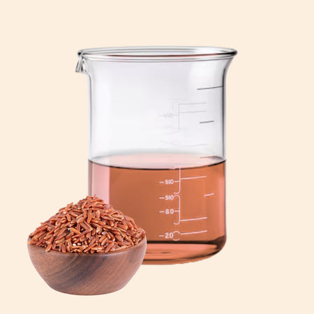 MYOC Red Rice Herbal Liquid Extract 35.2oz to 880oz, Revitalizing Antioxidant, Moisture Retention, Radiant Complexion
