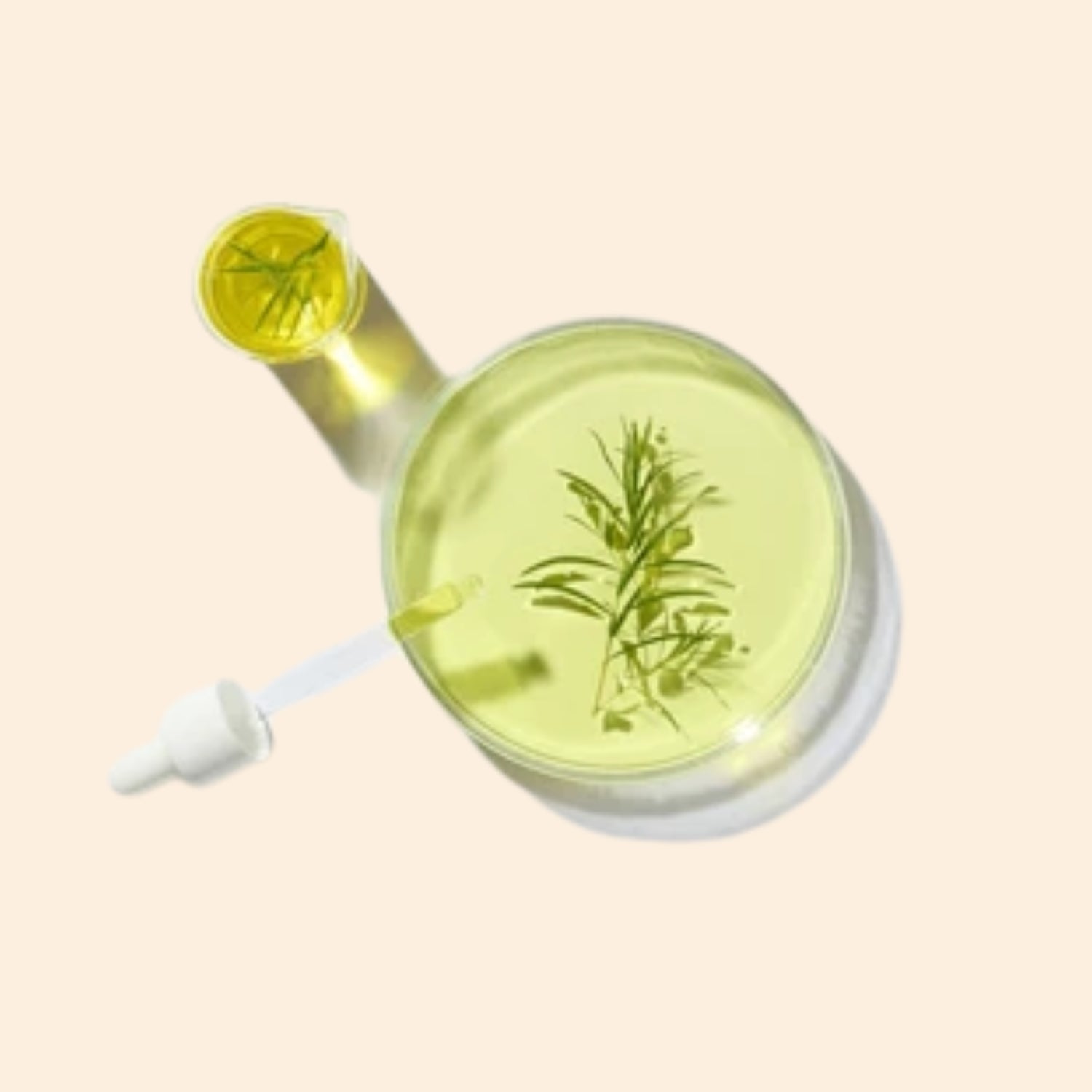Tea Herbal Liquid Extract