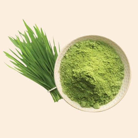Wheatgrass Powder