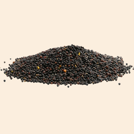 Black Mustard Seed