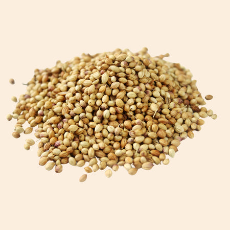 Coriander Seeds