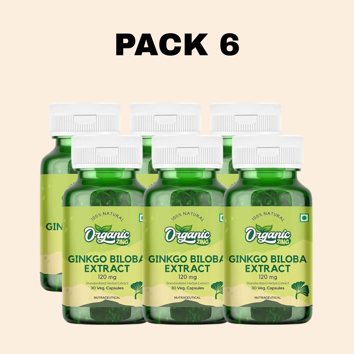 Ginkgo Biloba Extract 120mg - 30 Capsules