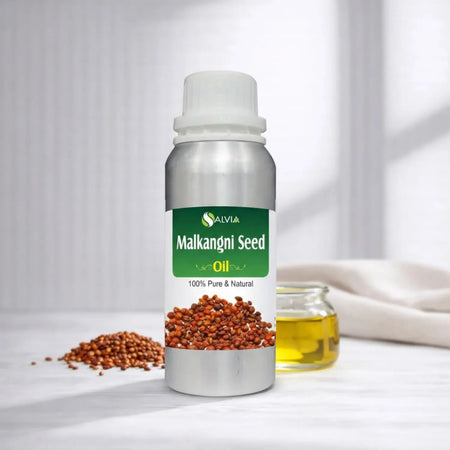 Malkangni Seed Oil