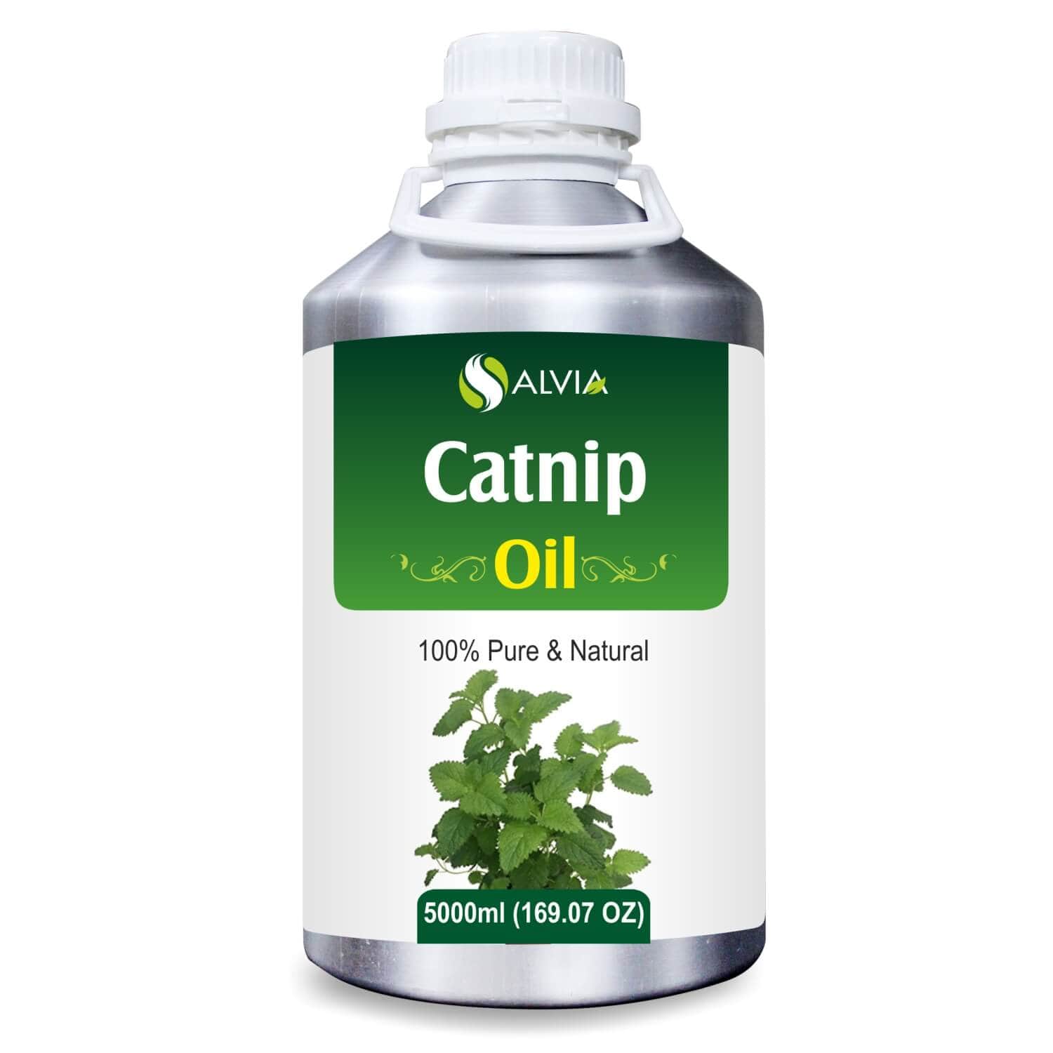 Salvia Natural Essential Oils 5000ml Catnip Oil (Nepeta Cataria) Pure Undiluted Therapeutic Grade Essential Oil For Relaxation, Headache, Sound Sleep, Mosquito Repellent, & Cat Attractant