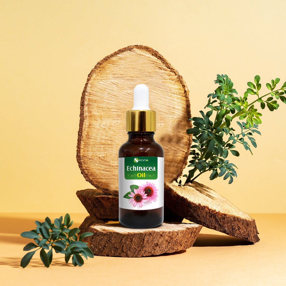 Salvia Natural Essential Oils Echinacea Oil for skin