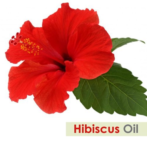 Salvia Natural Essential Oils Hibiscus Essential Oil