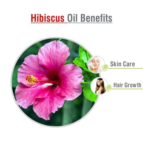 Salvia Natural Essential Oils Hibiscus Essential Oil