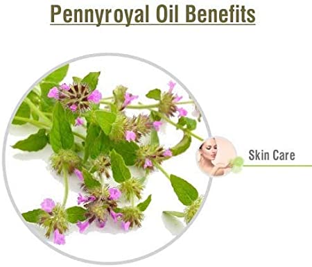 Salvia Natural Essential Oils Pennyroyal Oil (Mentha Pulegium) 100% Natural Pure Essential Oil Fights Germs, Soothes Skin Conditions, Insect Repellent