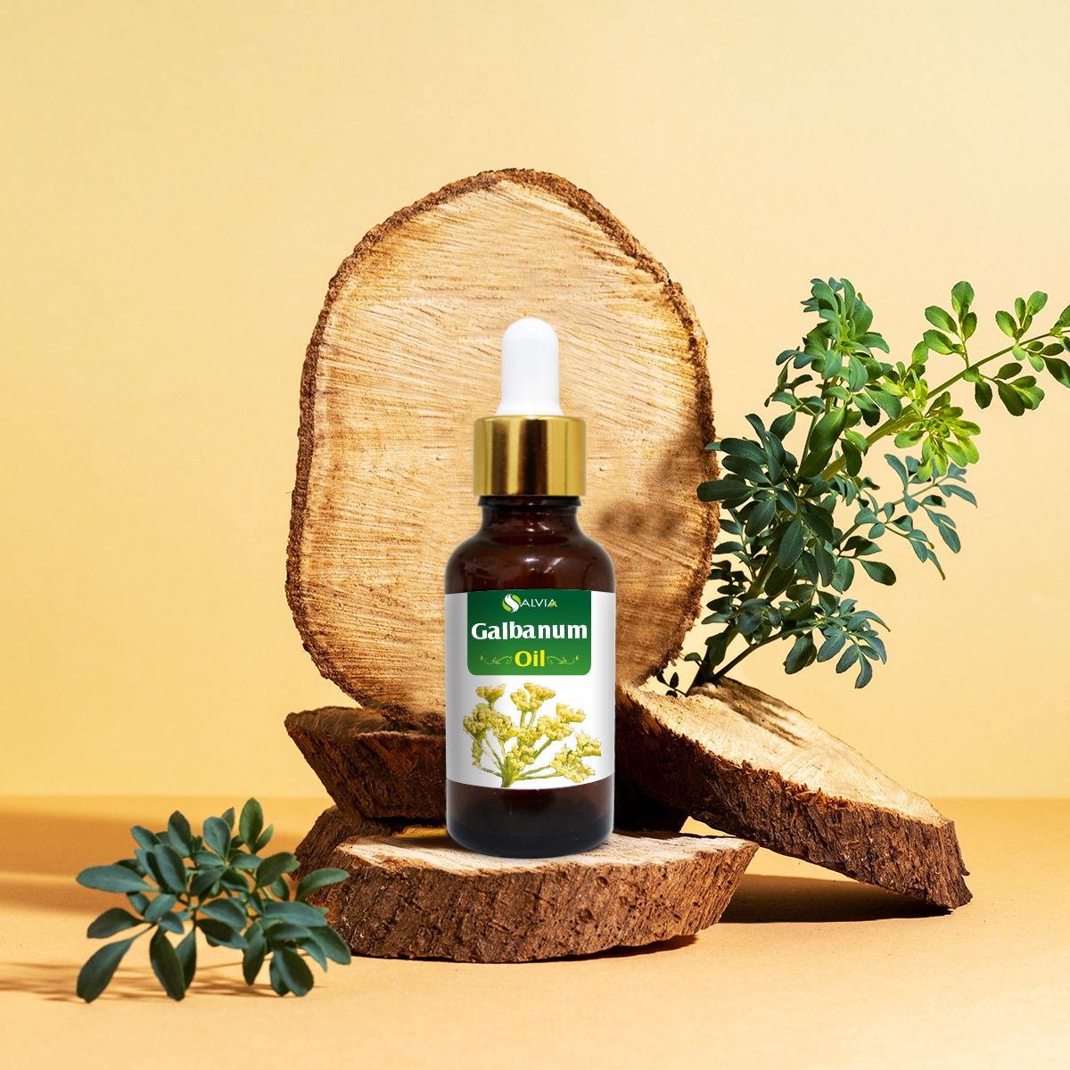 shoprythmindia Natural Essential Oils Galbanum Oil (Ferula-Galbaniflua) 100% Natural Pure Essential Oil