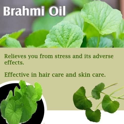 Brahmi  Essential Oil