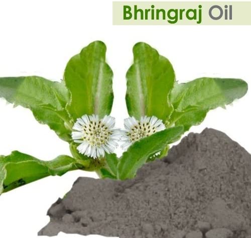 Bhringraj Carrier Oil
