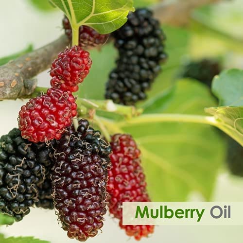 Mulberry  Essential Oil