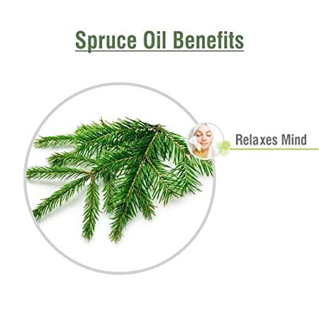 Spruce Essential  Essential Oil